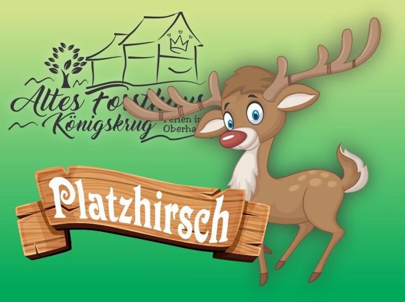 Altes Forsthaus Koenigskrug Apartment Braunlage Luaran gambar
